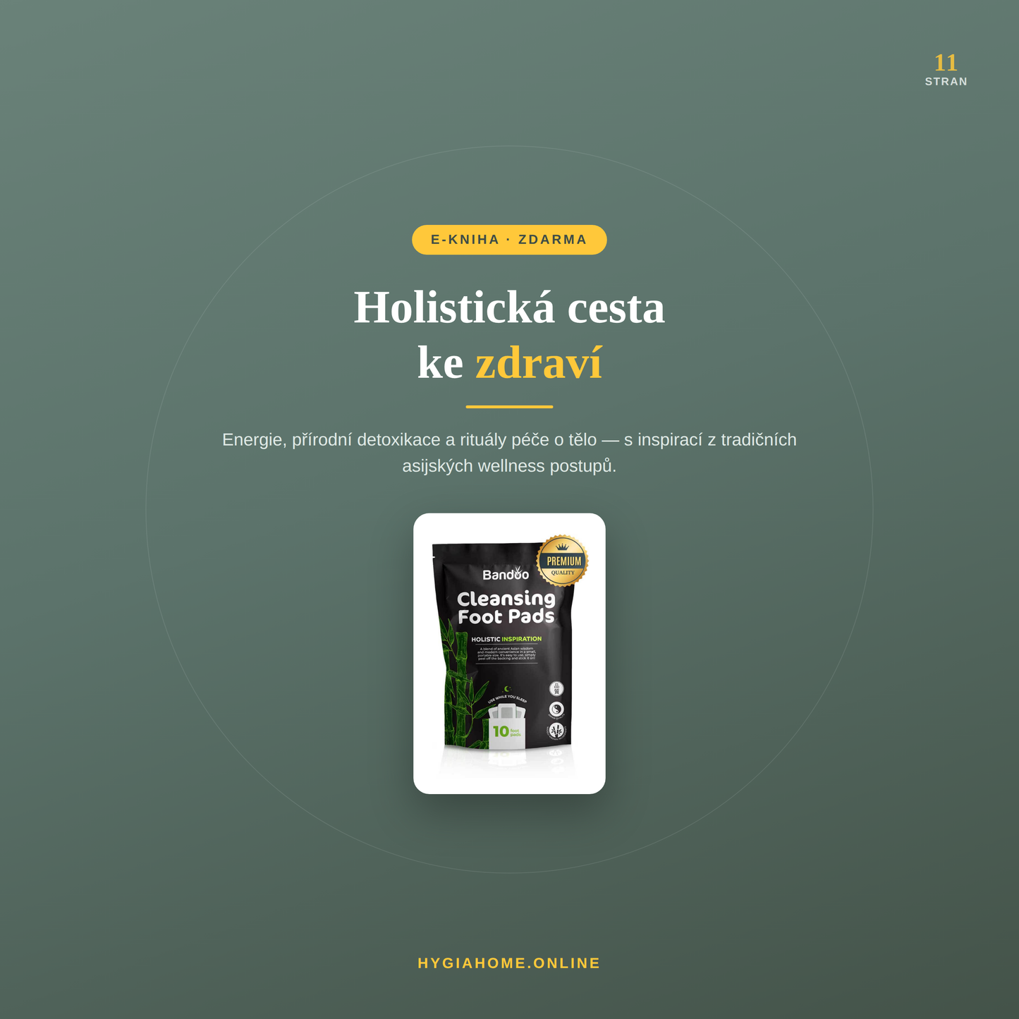 Holistická cesta ke zdraví | E-kniha zdarma