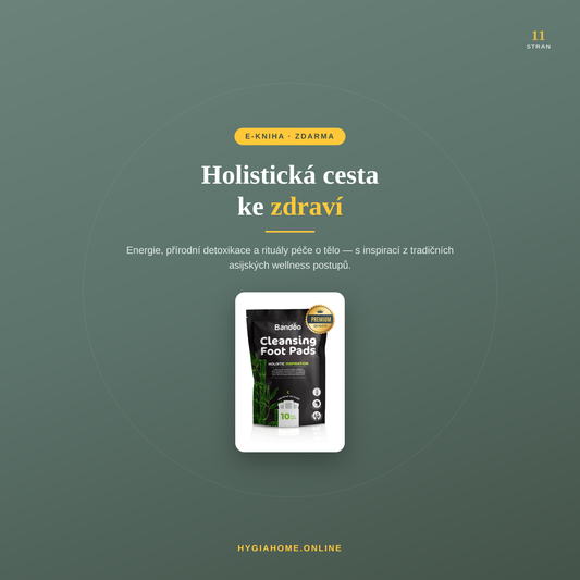 Holistická cesta ke zdraví | E-kniha zdarma